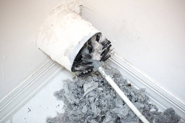 Best Air Duct Sanitizing Services  in La Grange, KY