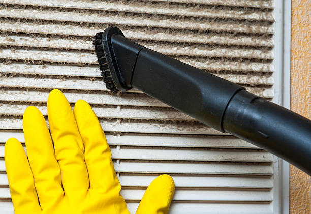 Best Professional Duct Cleaning Services  in La Grange, KY