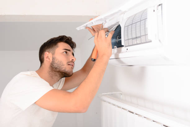Best Air Duct Mold Removal  in La Grange, KY